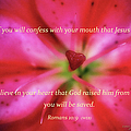 Heart of a Flower with Bible Verses