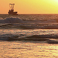 Squid Boat Golden Sunset